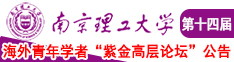 黄色视频操大嫩叠南京理工大学第十四届海外青年学者紫金论坛诚邀海内外英才！